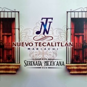 Serenata Mexicana artwork