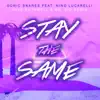 Stream & download Stay the Same (Dave Ruthwell & Mr. Sid Remix) [feat. Nino Lucarelli] - Single