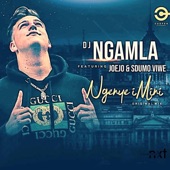 Ngenye Imini (feat. Joejo & Sdumo Viwe) artwork