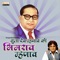 Tula Dev Mhanav Ki Bhimrao Mhanav DJ Remix - Anand Shinde lyrics