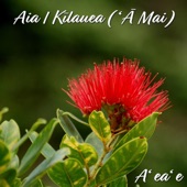 A'ea'e - Aia I Kilauea ('A Mai)