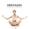 Meditação Sentada Zazen: Siga a Respiração, Tenha uma Vida Significativa album lyrics, reviews, download