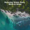 Relaxing Water, Rain, Birds & Wind album lyrics, reviews, download