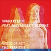 Work of Art (feat. Alexander Tidebrink) [Remixes] - EP