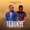 Tebukye (feat. Cosign) - HerbertSkillz lyrics