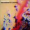 SSD / Wisdom of Crowds - Single album lyrics, reviews, download