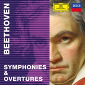 Symphony No. 8 in F Major, Op. 93: 1. Allegro vivace e con brio artwork