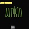 Wrkin (feat. Brian James) - VRN Hayes lyrics