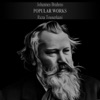 Brahms: Popular Works