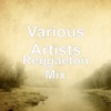 Reggaeton Mix