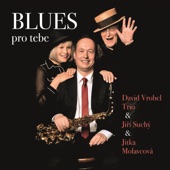 Blues pro tebe artwork