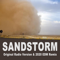 Sandstorm (Original Radio Version) - Darule lyrics