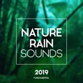 Nature Rain Sounds artwork