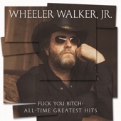 Fuck You Bitch: All-Time Greatest Hits artwork