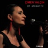 Ne Ağlarsın - Single