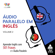 Lingo Jump - Áudio Paralelo em Inglês: Aprender Inglês com 501 Frases em Áudio Paralelo - Volume 2