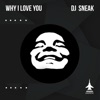 Why I Love You - Single