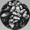 Hugo Vinagre - Don't Dub
