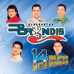 14 Super Cumbias - Grupo Bryndis