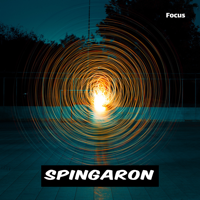 ℗ 2019 Spingaron, distributed by Spinnup