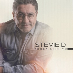 Stevie D - El Primer Tonto