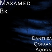 Dantiisa Qofaan Aqoon artwork