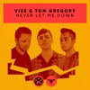 Vize & Echoik - Never Let Me Down