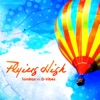 Flying High (Tomtrax vs. D-Vibes) [Remixes], 2012