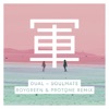 Dual - Soulmate (Roygreen & Protone Remix)