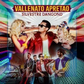 Vallenato Apretao artwork