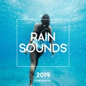 Rain Sounds 2019 artwork