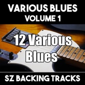 12 Various Blues Backing Tracks Volume 1 artwork