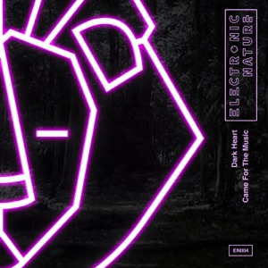 Came For the Music - Single