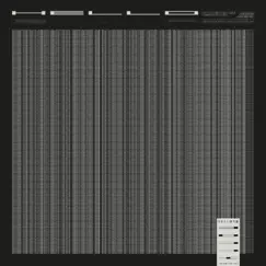 One Shot Song Lyrics