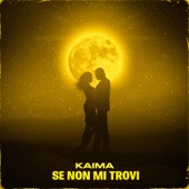 Se non mi trovi (Unplugged Version) artwork