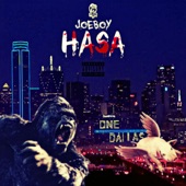 Hasa artwork