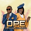 Ope (feat. Tosin Oyelakin) - Single