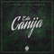 Está Canija (feat. Hector Rubio) - La Destreza lyrics