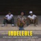 Indeleble artwork