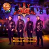 Recordando Grandes Éxitos Norteños: En Vivo, Vol. 3