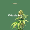 Vida de Rey - Single