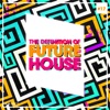 The Definition Of Future House, Vol. 17