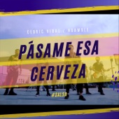 Pásame Esa Cerveza (Salsa) artwork