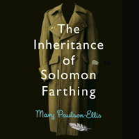 Mary Paulson-Ellis - The Inheritance of Solomon Farthing artwork