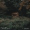 Shelter - KR3TURE & Catherine Feeny lyrics