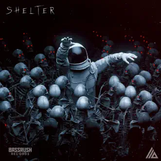 Shelter by ATLiens song reviws