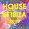 House of Ibiza 2019, 2019