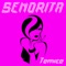 Señorita (Club Remix Edit Instrumental) artwork