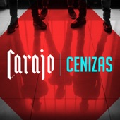 Cenizas artwork