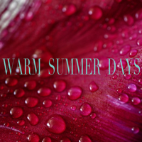 Rain Sounds - Warm Summer Days artwork